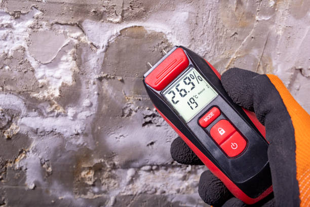 Best Commercial Mold Remediation in Hannibal, MO