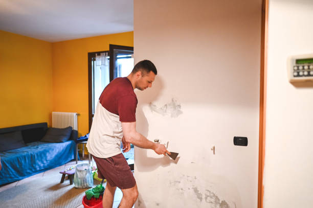 Best Basement Mold Remediation in Hannibal, MO